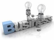 Investment partner,  New Business,  good business,  business in India