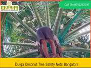 Coconut Tree Safety Nets In Bangalore www.balconysafetynetbangalore.co