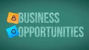 REGARDING FOR BUSINEESS OPPORTUNITIES SERVICE WEBSITE 