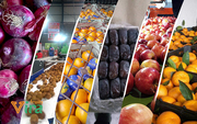 Fruit export company