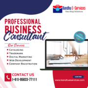 BANDHU e-SERVICES - Best Business Consultant Company in Bhubaneswar