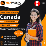 Visaapasppo Best Study Visa Consultants in Panchkula,  Chandigarh,  Hary