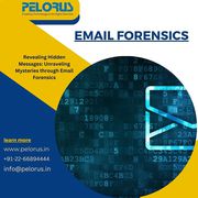 Forensics examiner | forensics audit
