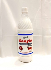 Buy Now – Panchgavya Gonyle Floor Cleaner for a Pure Home