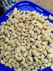 Royal cashew nuts wholesaler in Agra Uttar Pradesh 7550251115